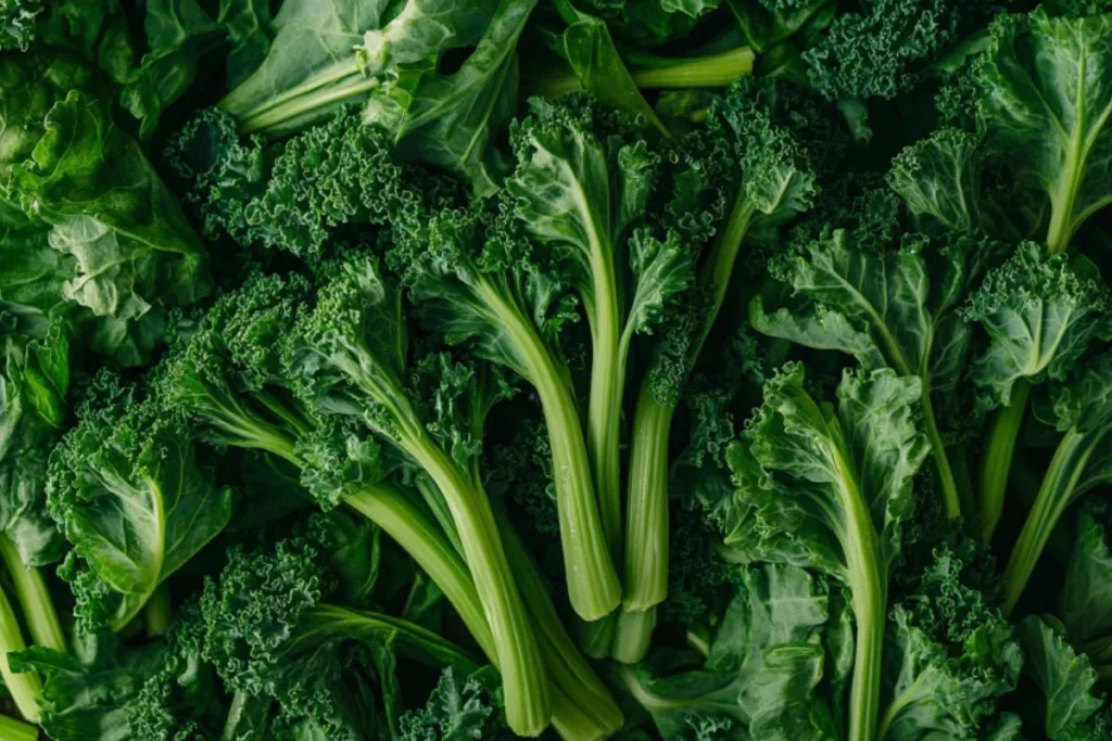 Fresh rapini bunch on a rustic wooden table.